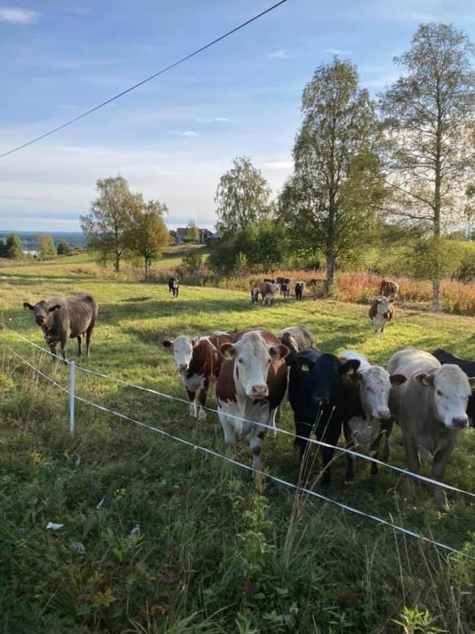 Grindstugan Pa Fyras Gard Hammerdal Luaran gambar